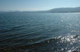 琵琶湖の生態系を支えるプランクトン　固有種には絶滅危惧種も