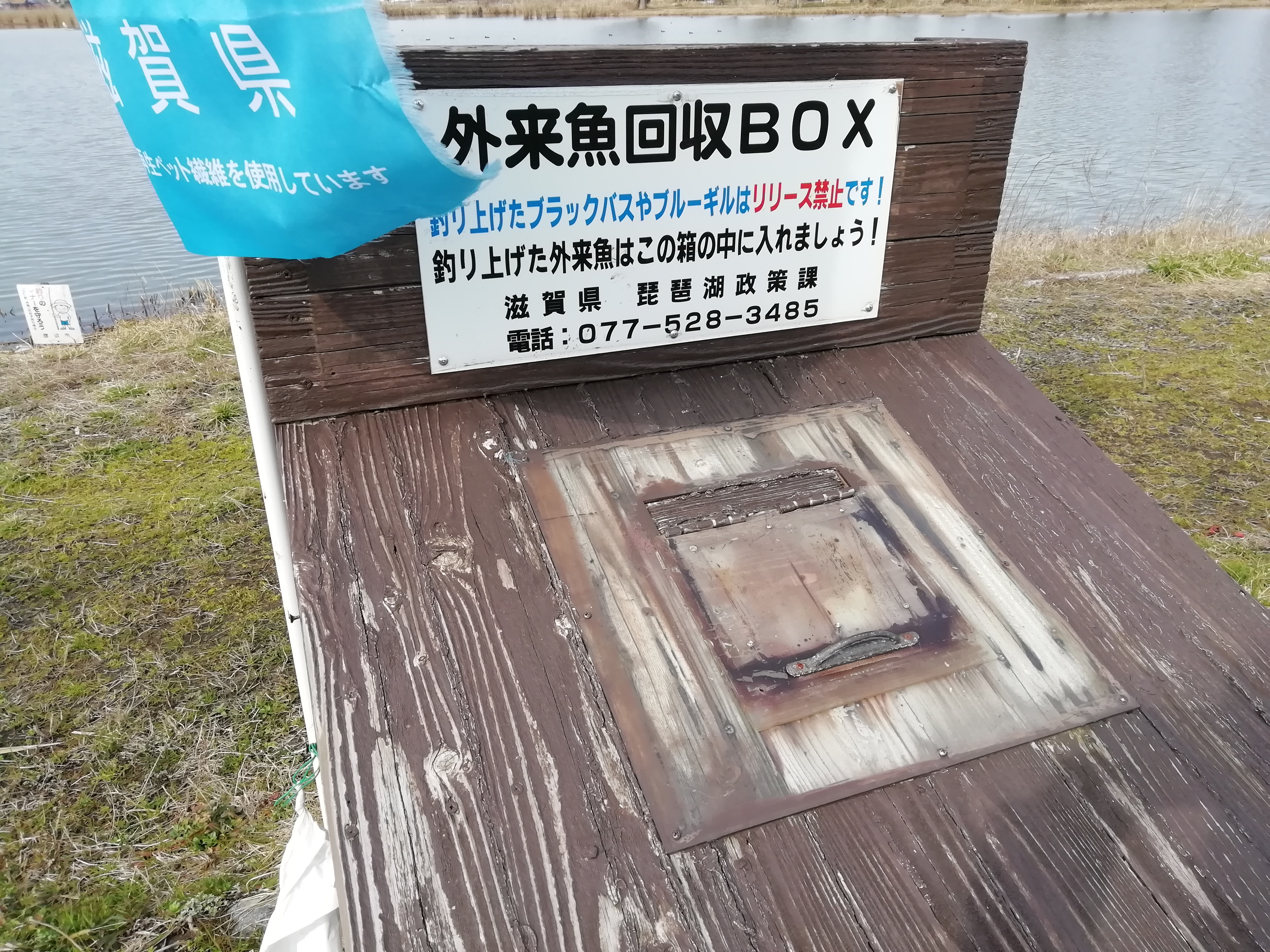 釣りを楽しみながら外来魚駆除を 滋賀県 外来魚回収ボックス いけす などの取り組み 琵琶故知新
